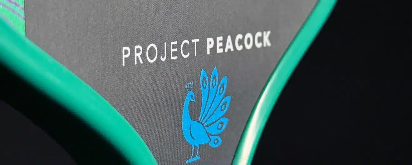 Proton Pickleball Paddles - The pinnacle of aviation science