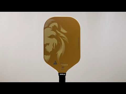Pickleball racket Joola Tyson McGuffin Magnus CAS