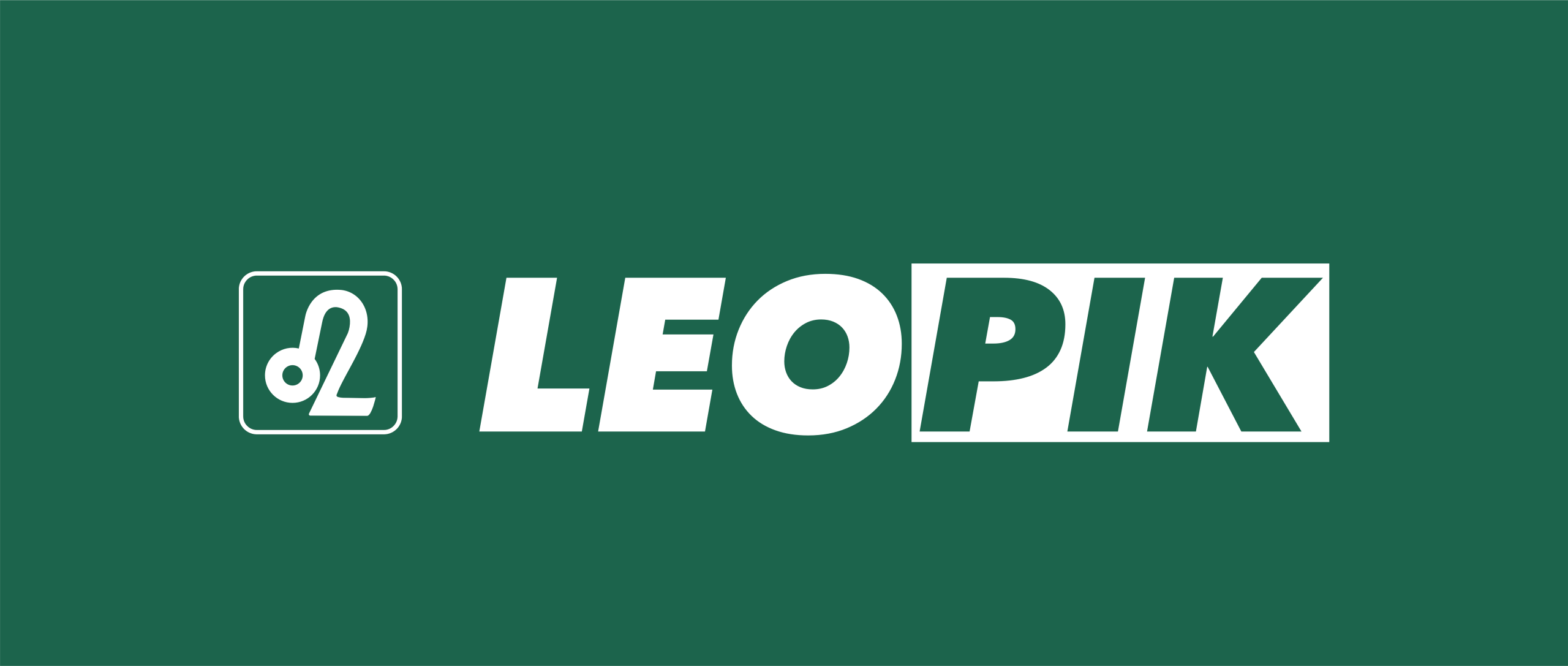 Vợt Pickleball Leopik – PicklePlay Việt Nam