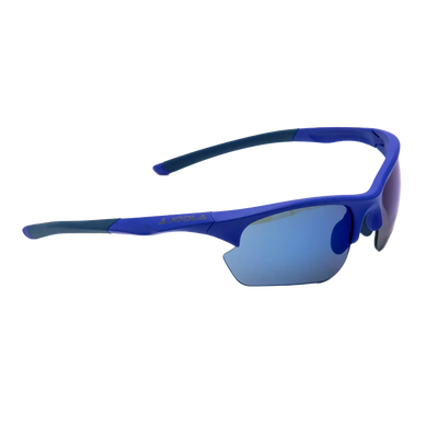 Joola RJX Boost Pickleball glasses