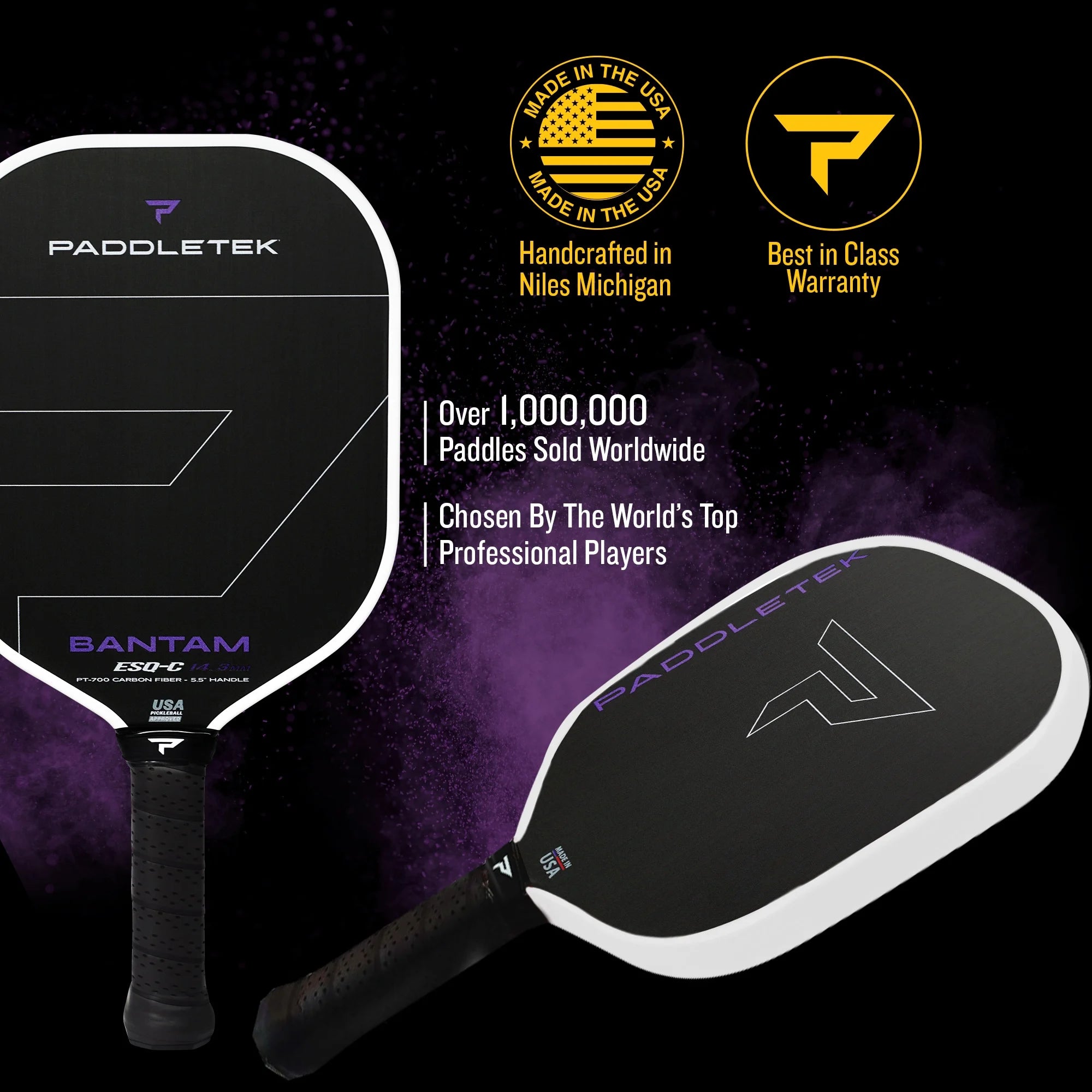 Vợt Pickleball Paddletek Bantam ESQ-C