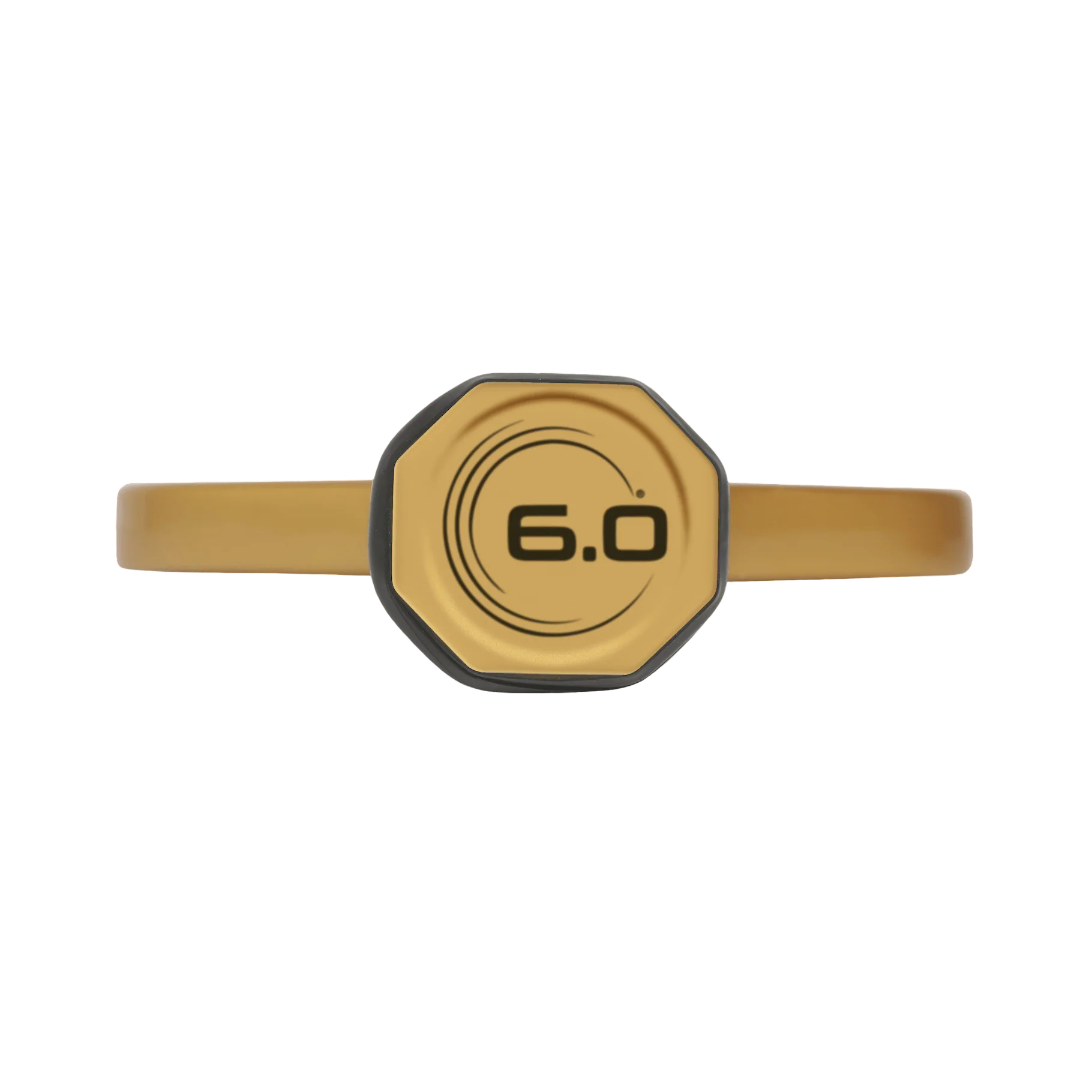 Vợt Pickleball Six Zero Double Black Diamond "Gold" Limited Edition