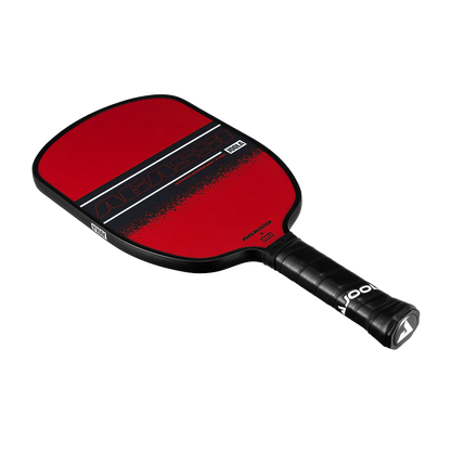 Joola Agassi Limited Edition Pickleball Racket