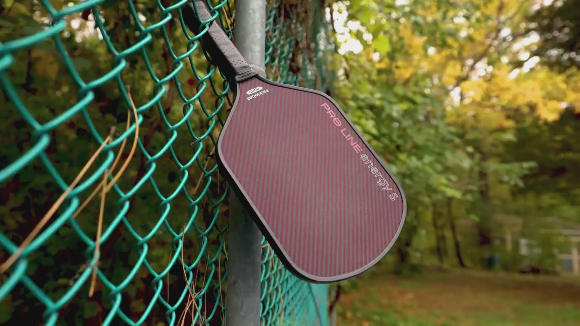 Apes Pro Line Energy S Pickleball Racket – PicklePlay Việt Nam