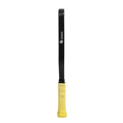 Vợt Pickleball AIREO Cyclone Frangipani Hybrid
