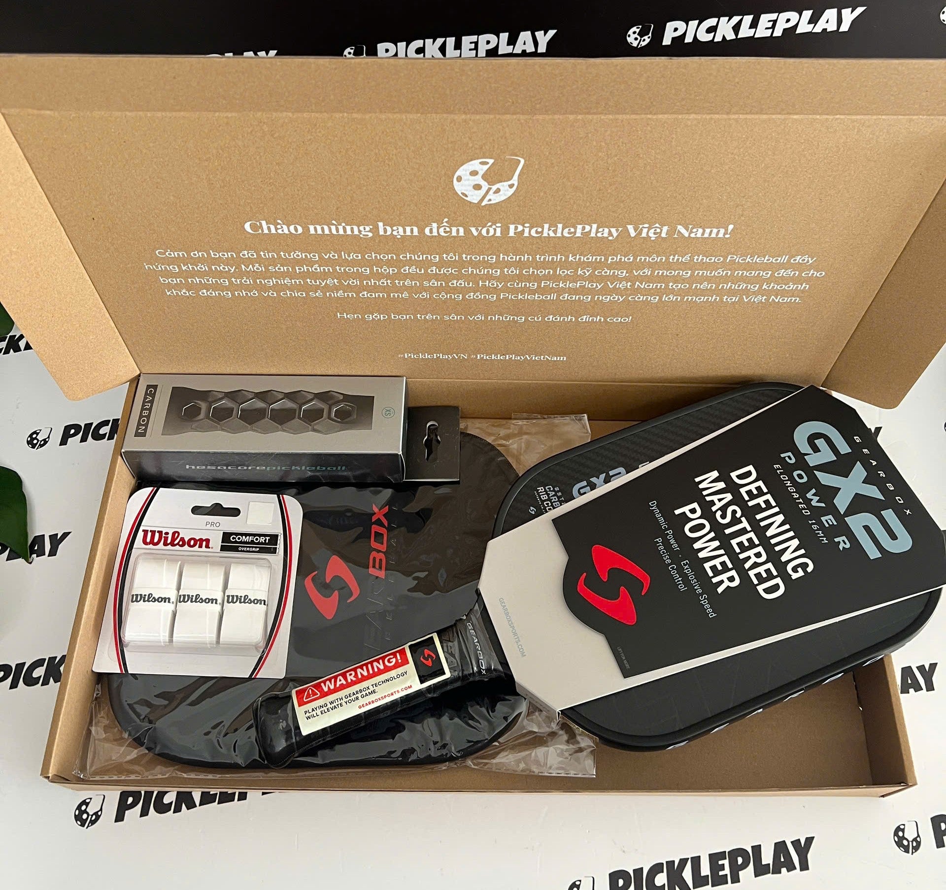 Ảnh vợt pickleball tr&ecirc;n s&acirc;n